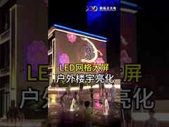 Innenbereich P100 Flexible LED Mesh Screen Display LED Dot Light Transparent